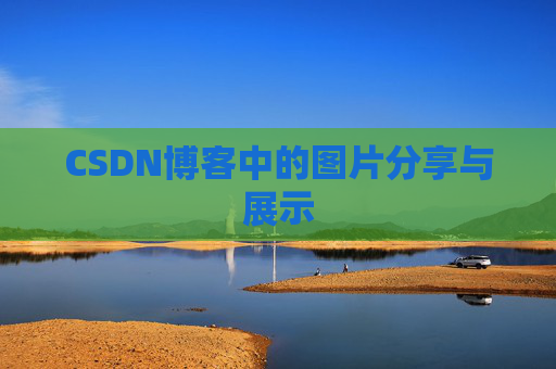 CSDN博客中的图片分享与展示